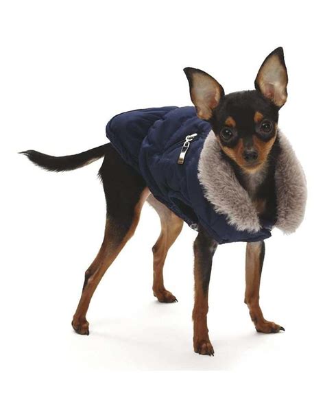 croci giubbotto imbottito tudor|Abbigliamento per cani .